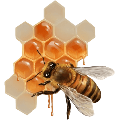 bee